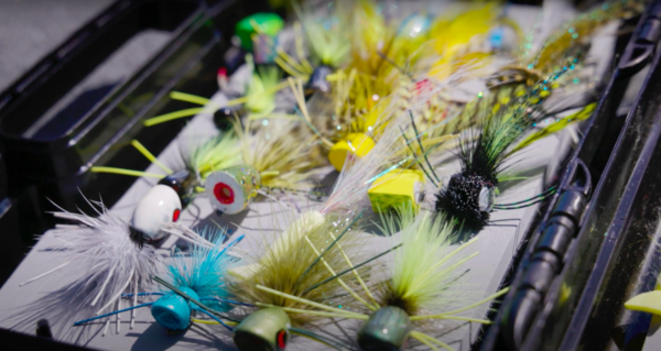 Fly Down Breaking Down Fly Selection for Bass and Beyond - Anchored Outdoors