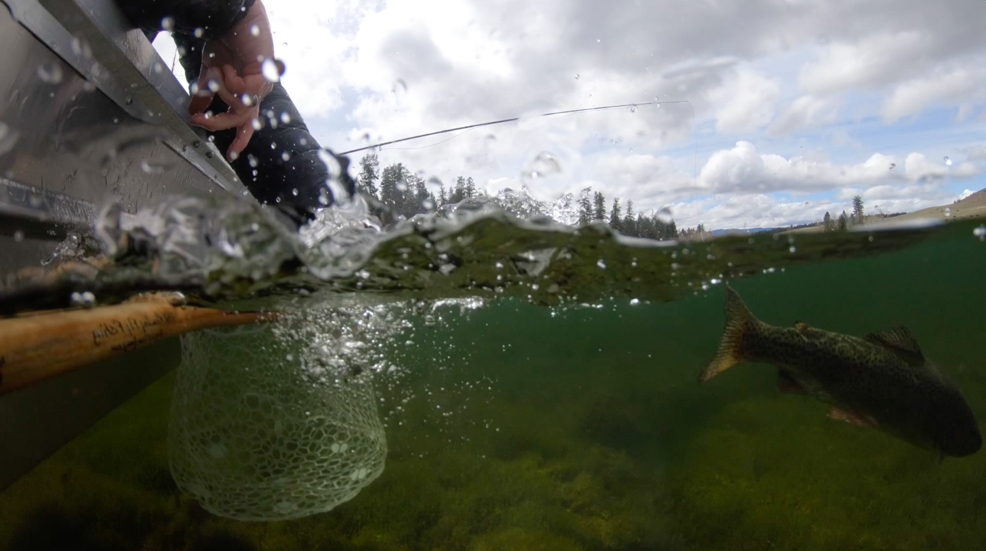 https://courses.anchoredoutdoors.com/courses/stillwater-fishing-with-phil-rowley
