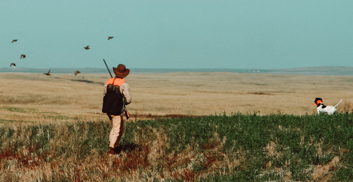 jim_mclennan_hunting_gamebirds