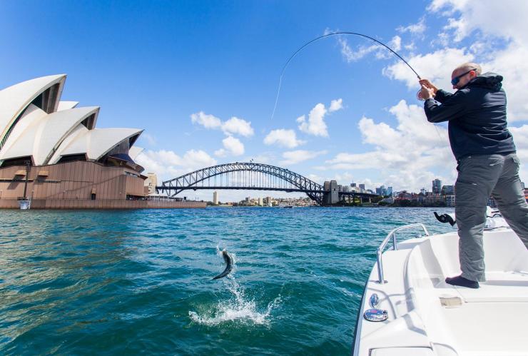 Fishing Australia TV, 58% OFF