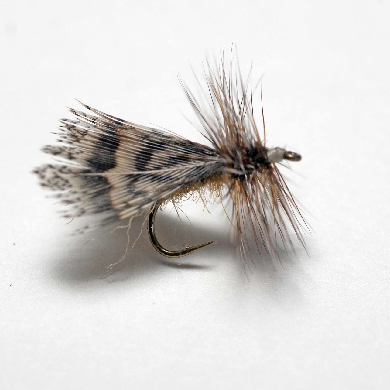 how to tie the spent partridge caddis fly