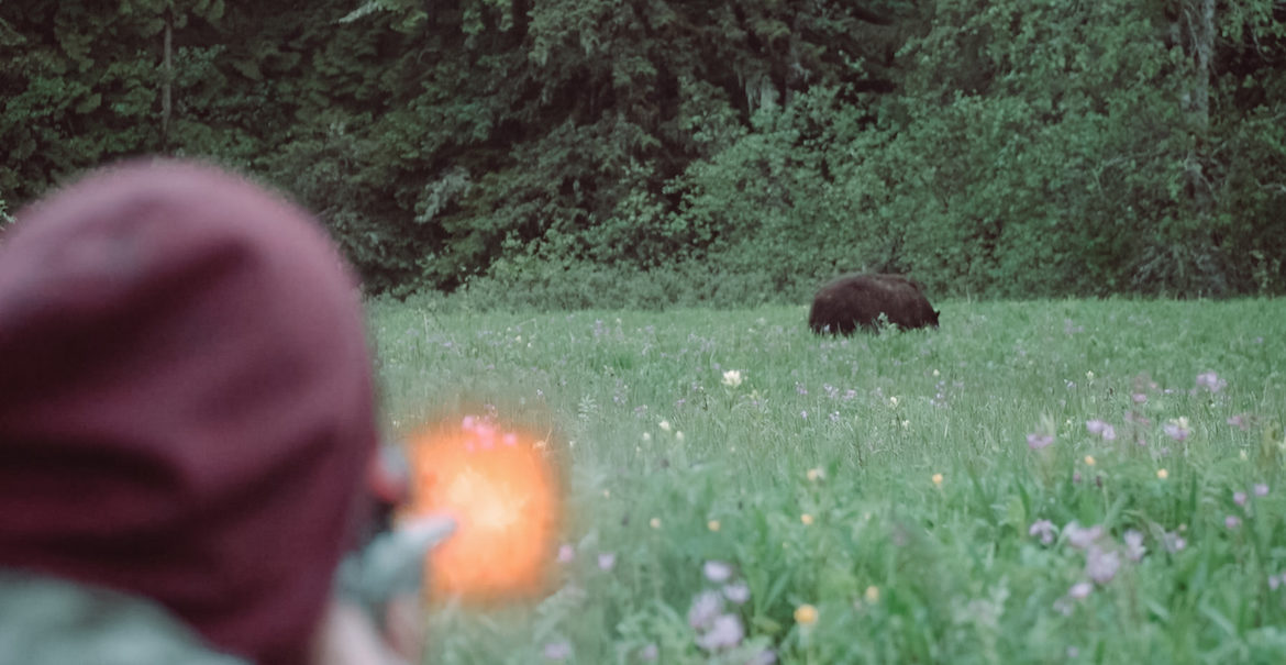 spencer_greening_bear_hunting