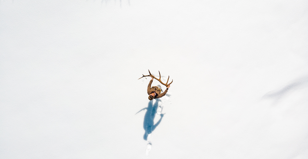 Shed Hunting, how to find antlers