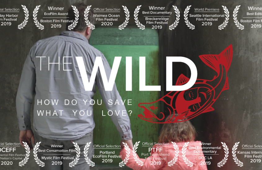 The Wild Documentary